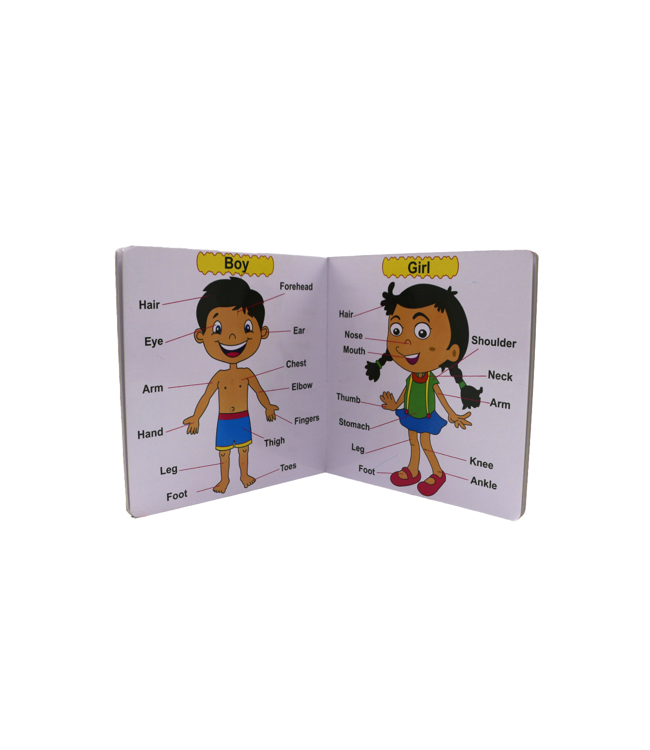 jack n jill reading book body parts & vehicles