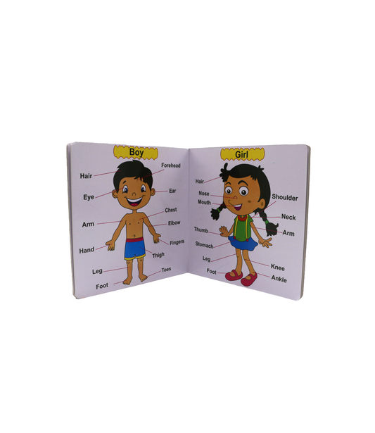 jack n jill reading book body parts & vehicles