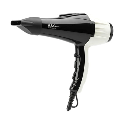 v&g hair dryer pro 4200